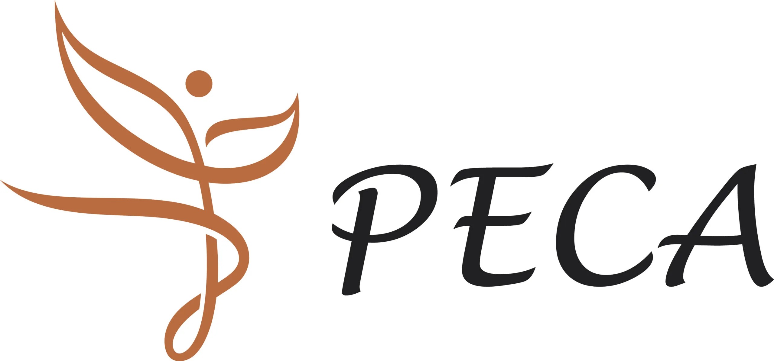 Perpetual Enhancement Career Academy Logo